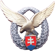 Badge Pilot 2nd class 