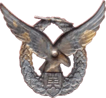 Badge Pilot 2nd class 