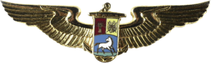 Нагрудный знак Пилот 