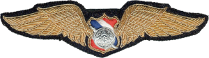 Badge Pilot 