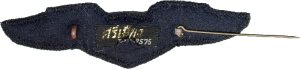 Нагрудный знак Пилот 