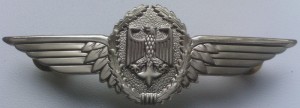 Нагрудный знак Пилот 2 класса 