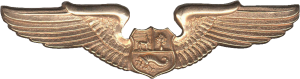 Badge Pilot 