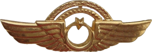 Нагрудный знак Пилот с налетом 1000 часов 