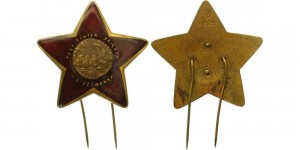 Нагрудный знак Партизанская бригада 