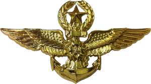 Badge Master pilot 