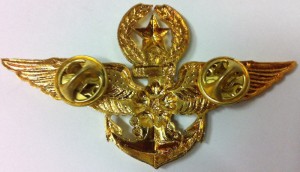 Нагрудный знак Мастер пилот 
