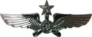 Badge Senior pilot 