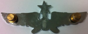 Badge Senior pilot 