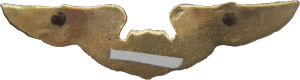 Badge Pilot 