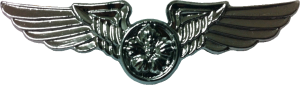 Нагрудный знак Член экипажа 