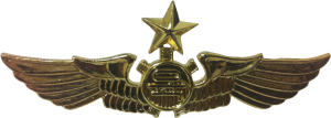 Нагрудный знак Старший механик 