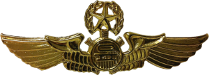 Badge Master mechanic 