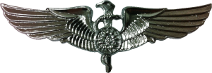 Нагрудный знак Медик 