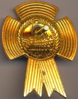 Нагрудный знак Военный парад 2012  