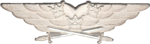Нагрудный знак Пилот 