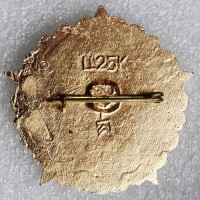 Нагрудный знак 383 Шахтерская Дивизия 1941-1981 