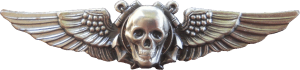 Badge  