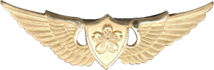 Badge Pilot 