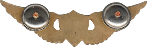 Badge Pilot 