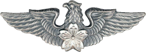 Badge Pilot 