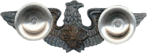 Badge Pilot 
