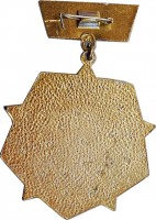 Нагрудный знак Участник партизанской борьбы Подмосковья 1941-1942 