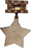Нагрудный знак Народное ополчение Ленинграда 30 лет 1941-1971 