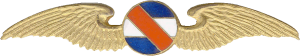 Badge Pilot 