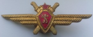 Нагрудный знак Пилот 