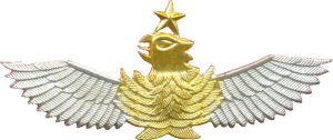 Нагрудный знак Старший пилот 
