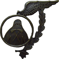 Badge Fireman, cadet 