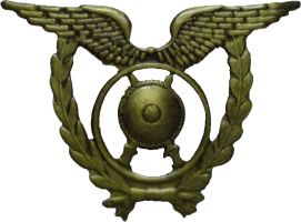 Badge Police Badge Police