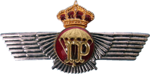Badge PARACHUTE INSTRUCTOR RIGGER  
