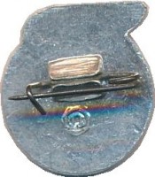 Нагрудный знак МИР  