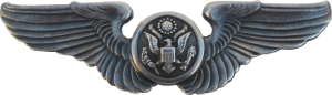Badge Air crew man 