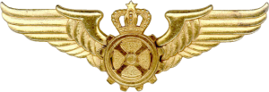 Нагрудный знак Авиатехник 