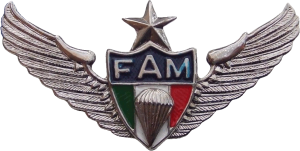 Нагрудный знак Старший парашютист 