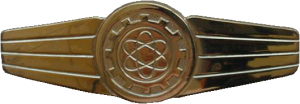 Badge Technician, gold 
