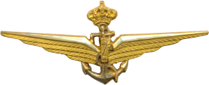 Знак Ex-pilot