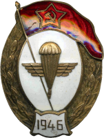 Знак Десантное нормальное военное училище