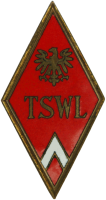Знак Technician aviation school