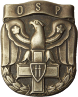 Знак Officer infantry school 