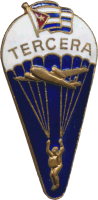 Знак Parachutist