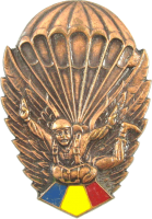 Знак Парашютист, бронзовый