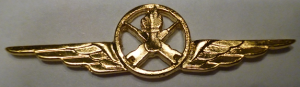 Знак Weapon service specialist