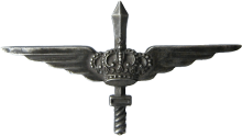 Знак Ex-pilot