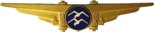 Знак Пилот планера категории 