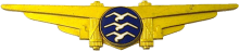 Знак Glider pilot category 