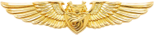 Знак Weapon control